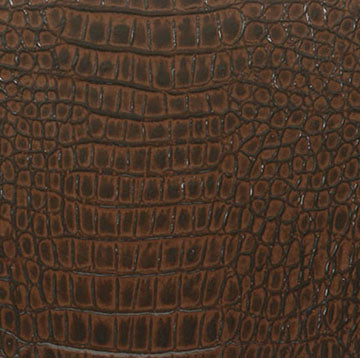 
                  
                    Hornback Lizard Embossed Leather Wrap
                  
                